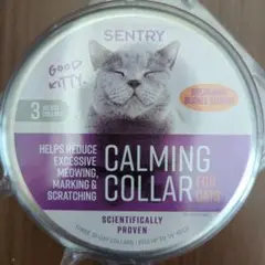 Item thumbnail for item 0e63aeda-8712-493a-8c20-5f3d144b7afa