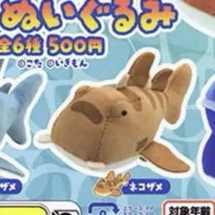 こた サメぬいぐるみ ネコザメ