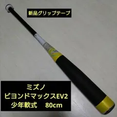 Item thumbnail for item d946324f-2248-46a8-b1bb-17d4b0ba87f3