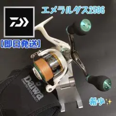 希少✨Daiwa/ダイワ 09 エメラルダス 2506✨