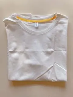 Item thumbnail for item e511165e-0dae-40e5-8db4-a5c8675b38d7