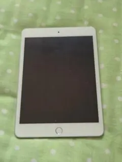 iPadmini5 64GB