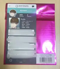 バスタフェ　アダム　プロフィールカード
