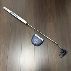 Item thumbnail for item b88d4bdf-11b8-4449-bdc7-25f682249a77