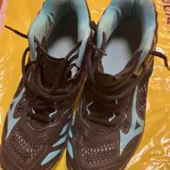 26cm Mizuno バレーボールシューズ ブラック/ブルー