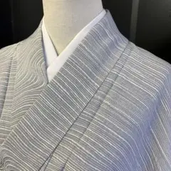 【春】14936z 着物 小紋 地紋起こし バチ衿 単衣 居敷当て付