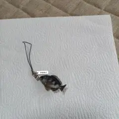 クロダイ ストラップ 小型