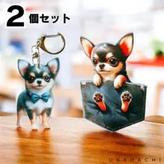 Item thumbnail for item a33c8299-e0c9-489a-8b10-813d90c1e5ab