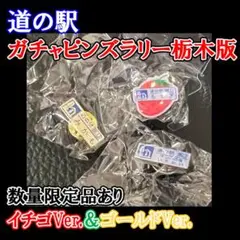 道の駅　栃木県版　ピンズ　コンプリート品 2025年最新】道の駅 ピンズ 栃木の人気アイテム - メルカリ