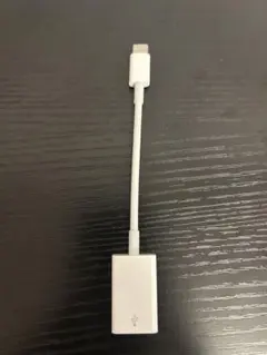 Apple純正 USB-C to USBアダプタ