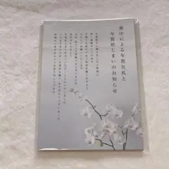 ⭐️喪中はがき（年賀状じまい文章）私製 10枚入り