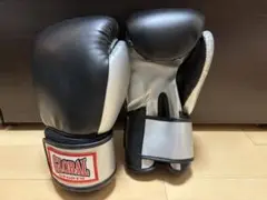 GLOBAL SPORTS ボクシンググローブ 黒/銀