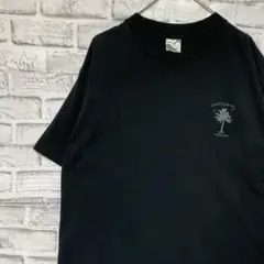 USA製90sヴィンテージTシャツ！シングルステッチ　ブラック半袖古着L723