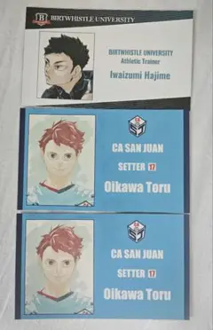 ハイキュー ファンパーク 名刺カード 及川徹 岩泉一