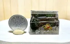 ドールハウス ミニチュア ハンドメイド 水槽 魚 ベタ ②