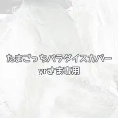 オーダーカバー　yrさま専用