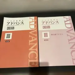 2025年最新】中学受験講座アドバンスの人気アイテム - メルカリ