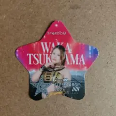 スターダム　月山和香FIVESTARGP 2025 会場限定非売品プレゼント