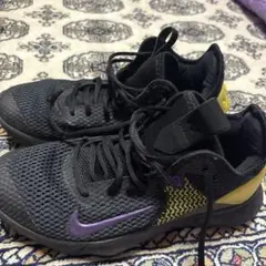Nike バスケットボールシューズ ブラック/イエローレブロン