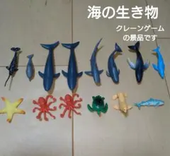 [最終値下げ]クレーンゲーム　海の生き物　14セット　クジラ　ヒトデ　タコ　カメ