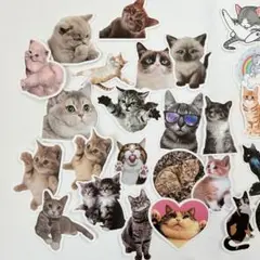 かわいい猫ステッカー シール 猫写真 ねこイラスト 100枚入