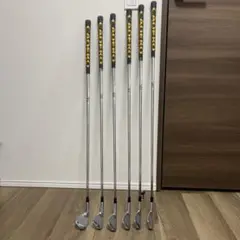 ミズノプロ520 Dynamic Gold X100