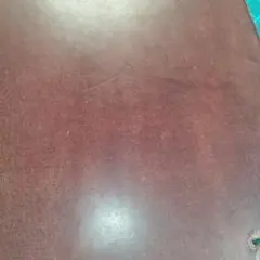 ガチャピンさん プルームAURAケース