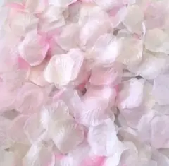 フラワーシャワー❁︎⋆*淡桜❁︎⋆*1,000枚
