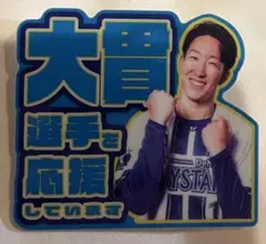 16 横浜DeNAベイスターズ 大貫晋一 アクリルバッジ