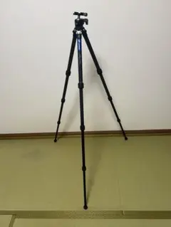 LeoFoto レオフォト LS-254C+LH30