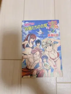 FAIRY TAIL 妖精たちの合宿の素