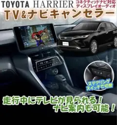 Item thumbnail for item 64996ce4-5d94-4b43-8adf-7125cc7bbc57