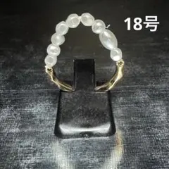 Item thumbnail for item c4f5e7da-ba11-429e-969a-82ce42e7c77e