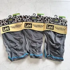 Lee Lサイズ メンズ下着 セミビキニブリーフ　ボーダー3枚セット