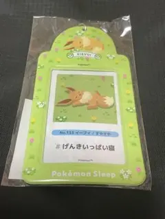 ポケモンスリープ ポケスリ カードケース　イーブイ