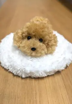 手乗りわんこ　トイプードル　全身　ふせ