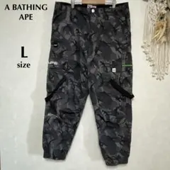 Item thumbnail for item 6a1baabf-2c08-4d50-b6ba-bd06237a11f2