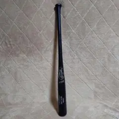 Item thumbnail for item fd8a3319-e4df-4ec1-8266-1347889f8882