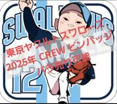 【 バラ売り可 】東京ヤクルトスワローズ　2025年 ピンバッジ 【まとめ売り】