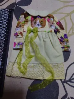 Item thumbnail for item d10fee6c-58e1-46c5-8d9b-4d998d6e3b9a