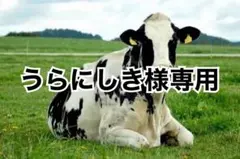 ダークチョコ芯白8、ニードル1