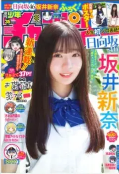 坂井新奈 週刊少年チャンピオン 35号 付録応募券無