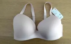 Item thumbnail for item 2d1e72f4-00ab-4181-bf77-7e3ebe9037e2