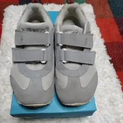 Item thumbnail for item 27877883-2aeb-4599-859b-ab773428ddff