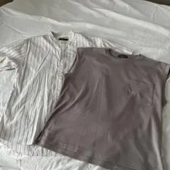 season reason セットアップ