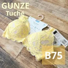 GUNZE Tuché Sweet Make Bra 【ふわっと盛れる】B75