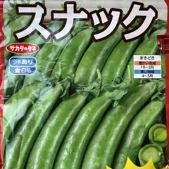 ③ スナップエンドウ スナックエンドウ タネ 種 たね