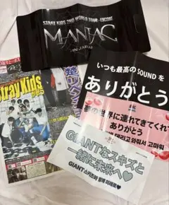 straykids クラッパー・スローガン・サンケイスポーツ号外