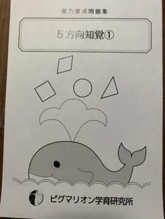 ピグマリオン　能力育成問題集　5方向知覚①