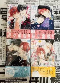 新品未開封　たまらないのは恋なのか 1～4巻 セット シュリンク付き